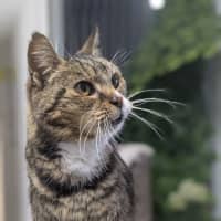 Photo of 🌱 Mochi 6381 🌱