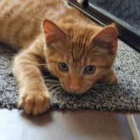 Photo of Hamish