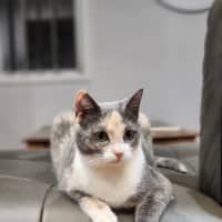 Photo of Lucinda