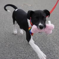 Photo of Tully