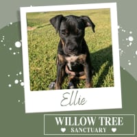 Photo of Ellie