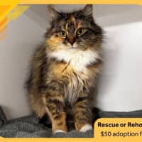 Photo of Winnie