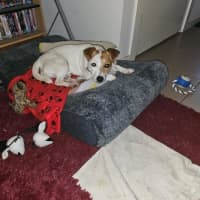 Photo of Jacky Chan Peggotty