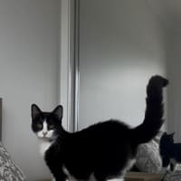 Photo of Cleo