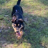 Photo of Stormy