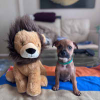 Photo of Charlie