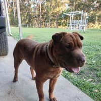 Photo of Tyson