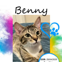Photo of Benny