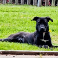 Photo of Tank