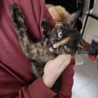 Photo of Pink   Located In Reservoir