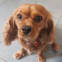 Photo of Lovely Lala 