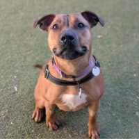 Photo of Winnie