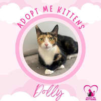 Photo of Dolly