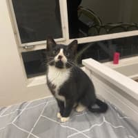 Photo of Mr Moo