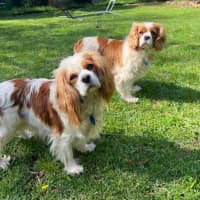 Photo of Bianca And Annie