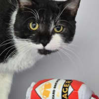 Photo of Simon