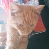 Photo of Sunnysideup