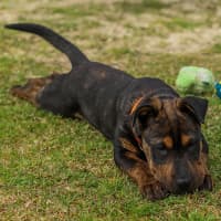 Photo of Bennie