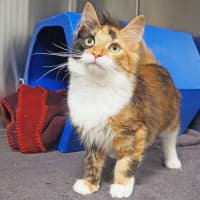 Photo of Belle