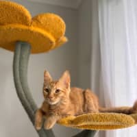 Photo of Zeus