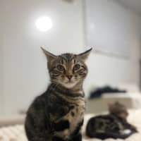Photo of Boots