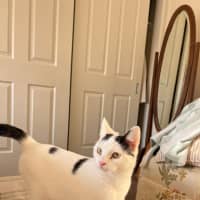 Photo of Lilly