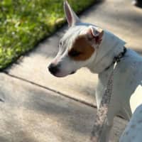 Photo of Molly