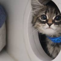 Photo of Miggles