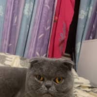 Photo of Tessa