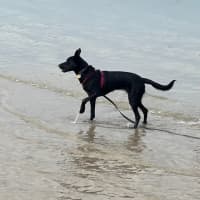 Photo of Slick