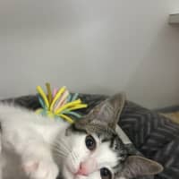 Photo of Cindy