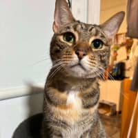 Photo of Kodie