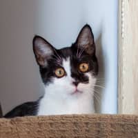 Photo of Linda