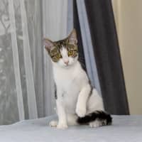 Photo of Macy