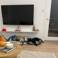 Photo of Sundae