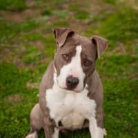Photo of Zena