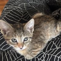 Photo of Susan