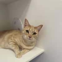 Photo of Jasper