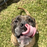Photo of Cash