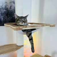 Photo of Ferris & Felix