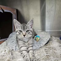 Photo of Charlie