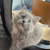 Photo of Cloud