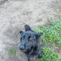Photo of Lucy