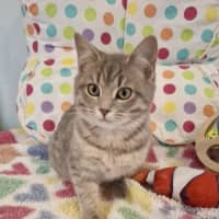 Photo of Juliette