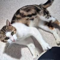 Photo of April (9172)