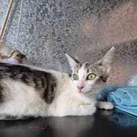 Photo of Whitney! 🌟