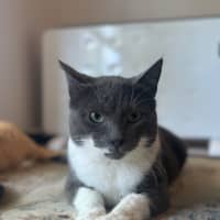 Photo of Christian Grey