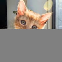 Photo of Glitch