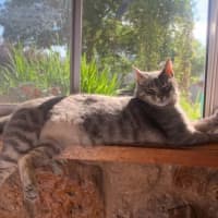 Photo of Adie (Aka Admetus)