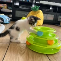 Photo of Charlie